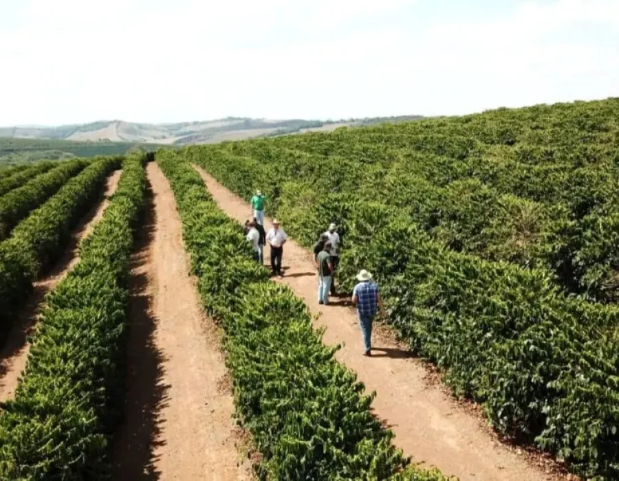 capa-producao-cafe-arabica-1024x578.jpeg